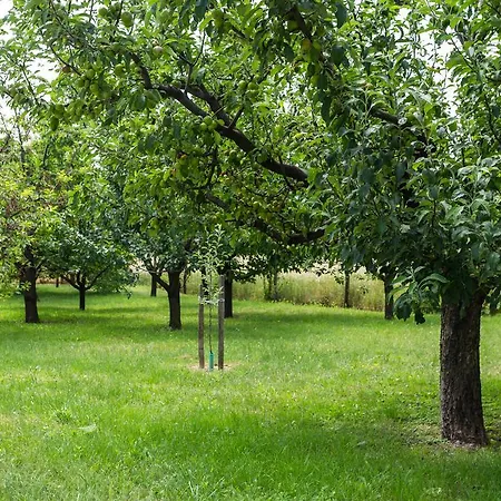 Vendégház Figula Balatonfüred